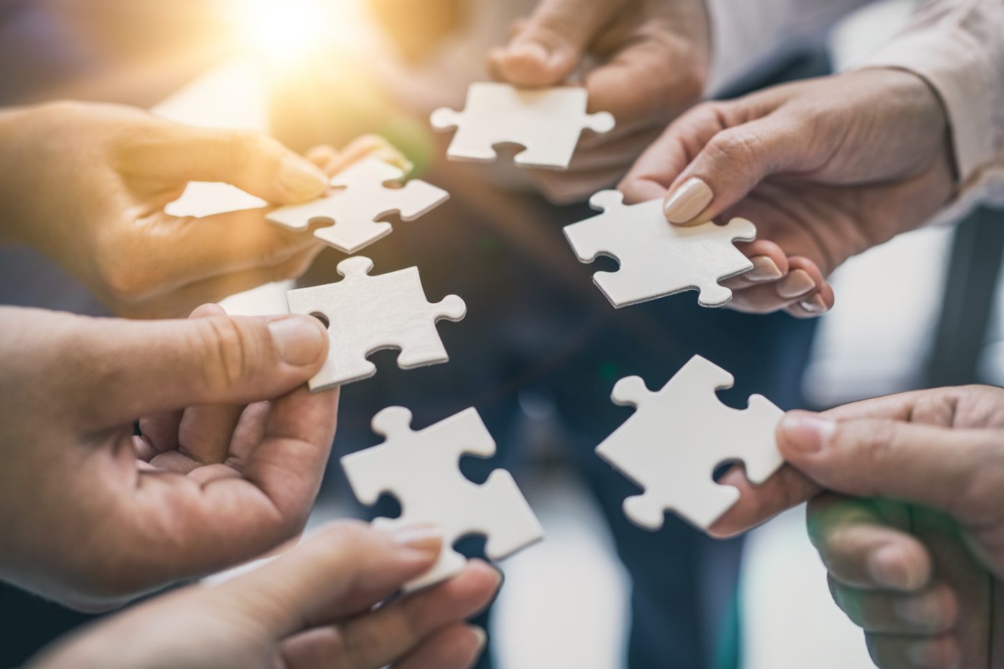 Demokratiebildung und BNE in der Englischlehrkräfteausbildung